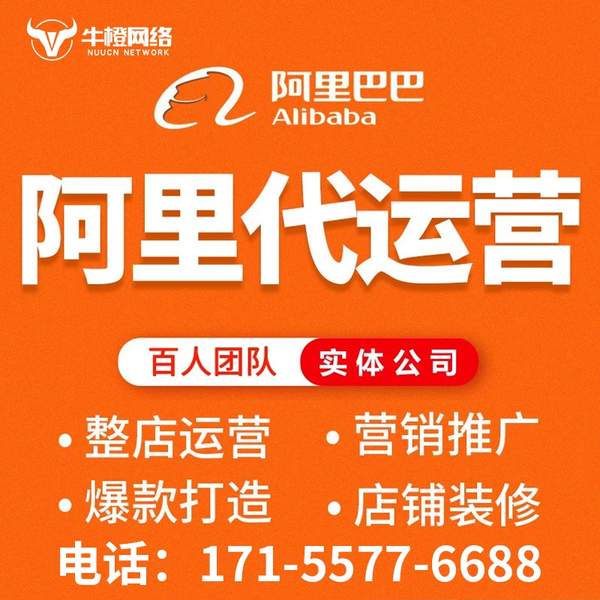 长治电商代运营