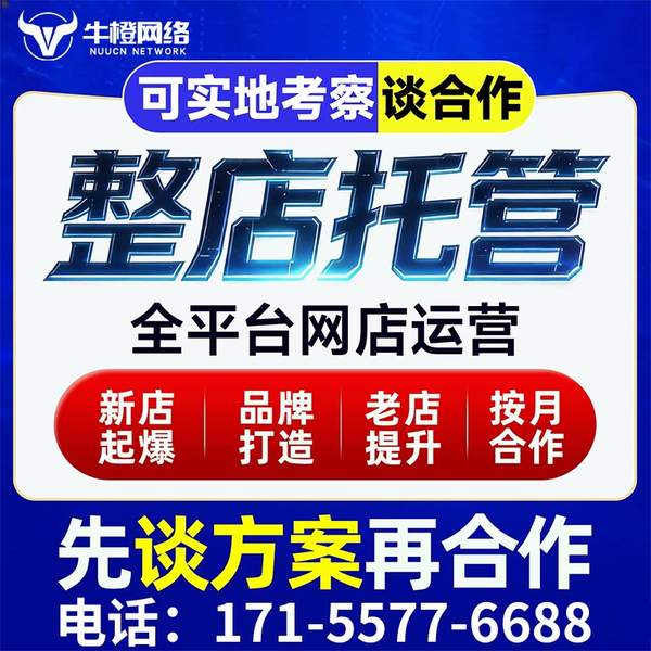 长治电商代运营