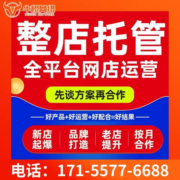 长治电商代运营