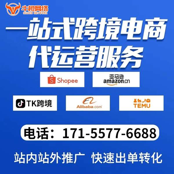长治电商代运营